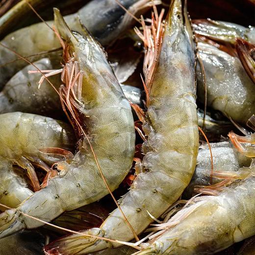【厄瓜多尔盐冻大虾】纯净海域捕捞，一上岸就用液氮技术海水结晶冻起来，虾体通透，优质蛋白，补钙不长肉。 商品图0