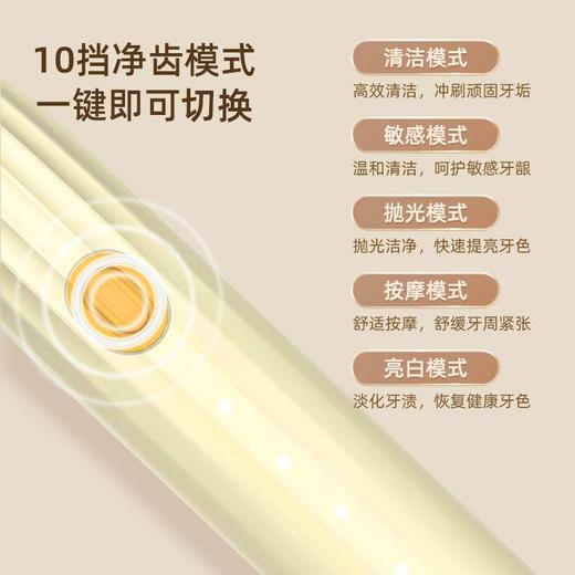 力博得声波电动牙刷 悦礼 商品图3