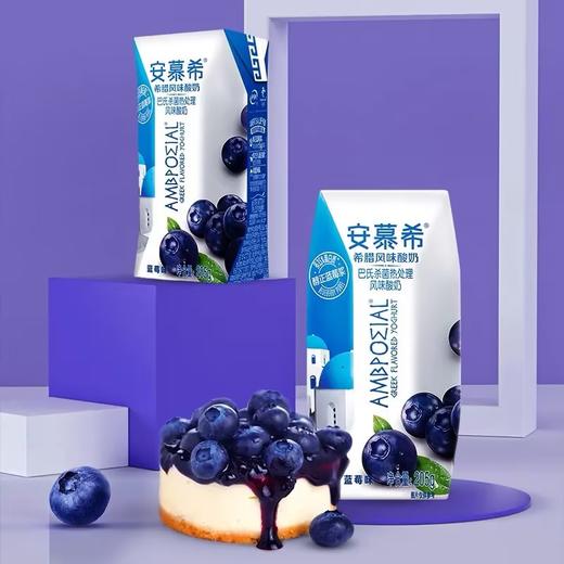 伊利安幕希希腊风味酸奶(蓝莓)205g 商品图2