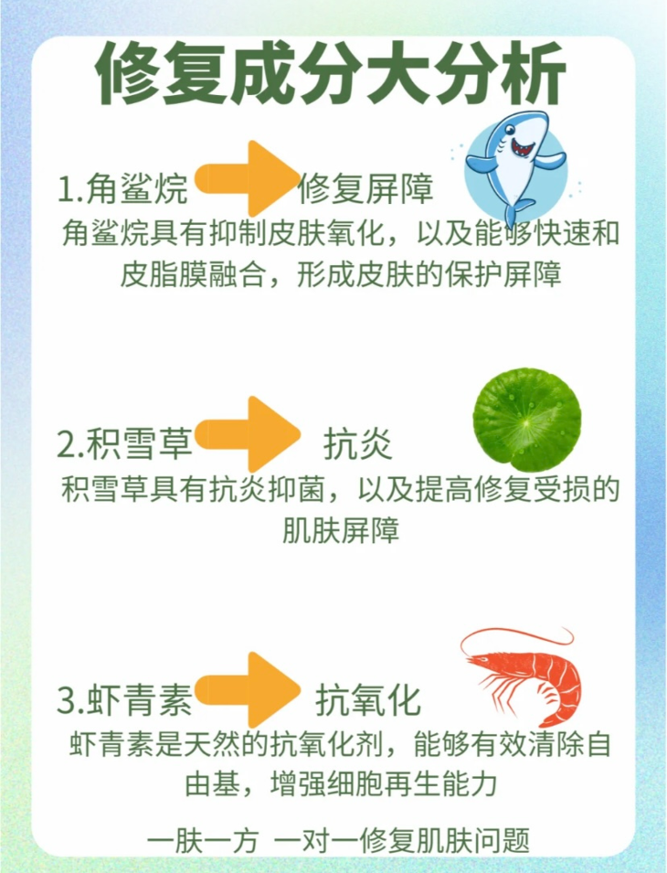 img_v2_e8fa772f-7769-4097-a834-29f71e787f9g.jpg 图片