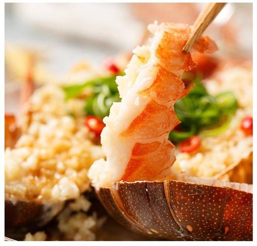 【福建】东山岛野生小青龙 深海捕捞 鲜活速冻 商品图7