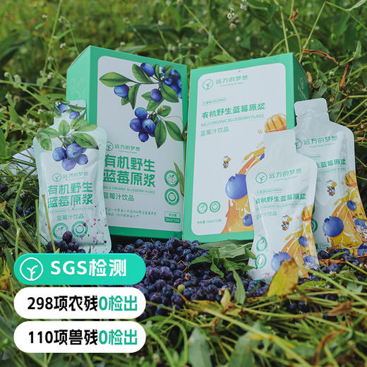 【25年新采摘蓝莓原浆 】野生有机蓝莓原浆 天然花青素 天然维生素 可以喝的护肤品 商品图0