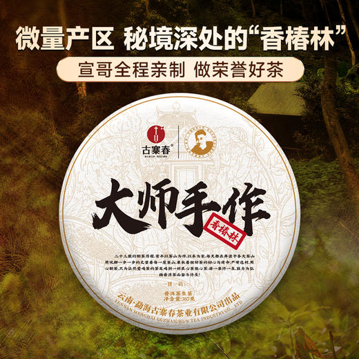 【大师手作—香椿林】2017年宣哥亲手制作亲自储存巨作勐海干仓储存荣誉好茶 商品图0