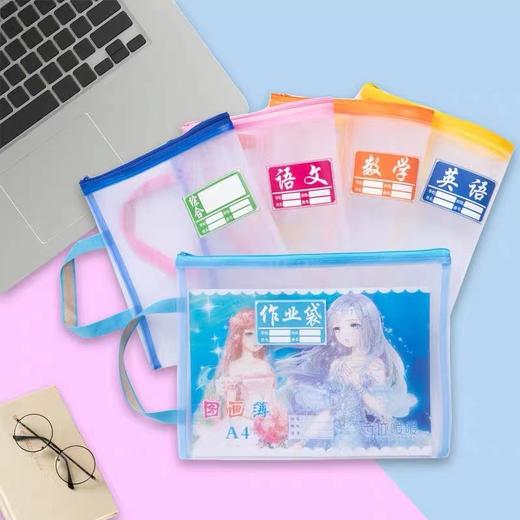 科目袋纱网A4学科分类文件袋拉链袋小学生语文数学英语资料袋综合作业袋单层网纱袋试卷收纳袋 商品图2