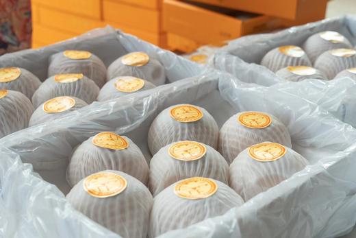 【推荐】秋月梨（特大） 商品图2