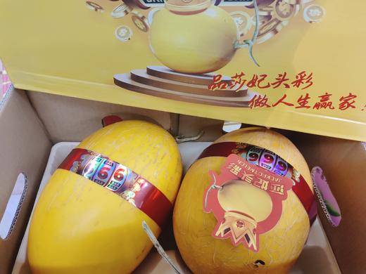 莎妃头彩哈蜜瓜一箱 商品图4
