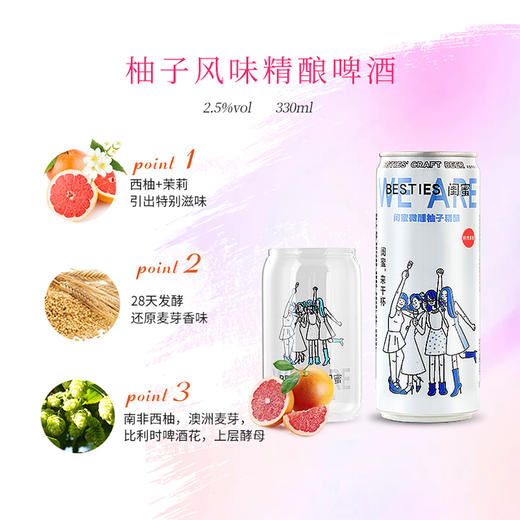 轩博 柚子微醺精酿啤酒 2.5°低度 330ml*24罐 商品图4