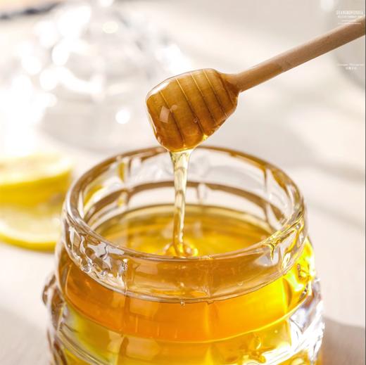 绿典HK888-1蜂蜜罐 商品图3