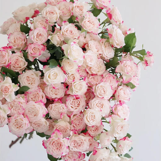 多头玫瑰 折射 10支/扎 云南基地发货 （价格已包含包装费用） 运费以实际为准，多退少补。 商品图1