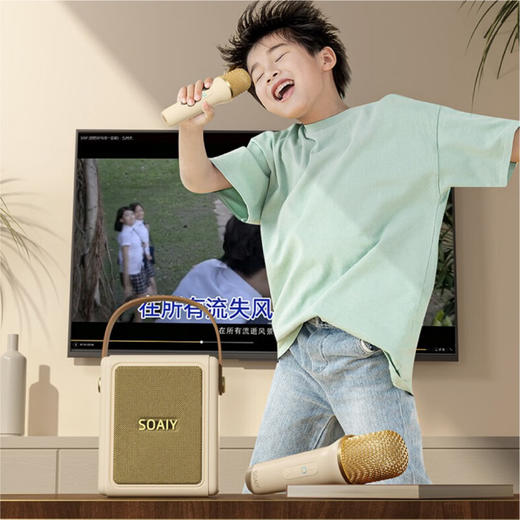 索爱迷你音响K歌套装 商品图1