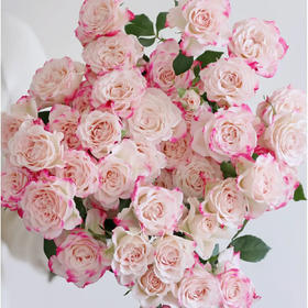 多头玫瑰 折射 10支/扎 云南基地发货 （价格已包含包装费用） 运费以实际为准，多退少补。