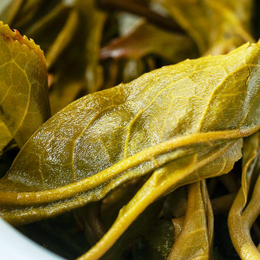 【回甘岭】2023年头春头采回甘持久久到离谱福利放松班章森林茶为主料 商品图5