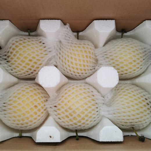有机花皮皇冠梨 商品图10