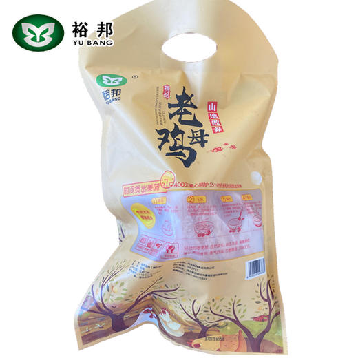 裕邦山地散养鸡老母鸡 商品图4