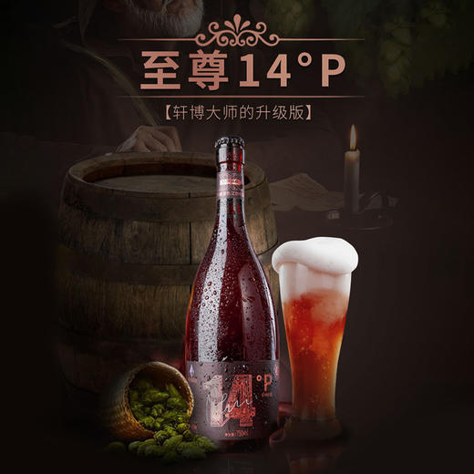 轩博 IPA版精酿啤酒 14°P精酿 750ml*3瓶 商品图0