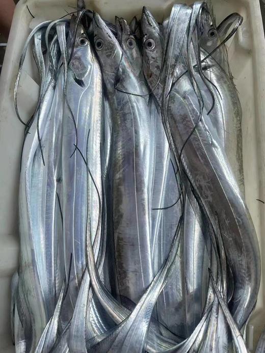 舟山东海野生钓带鱼 整条速冻 不包冰   新老包装随机 商品图3
