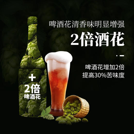 轩博 IPA版精酿啤酒 14°P精酿 750ml*3瓶 商品图3