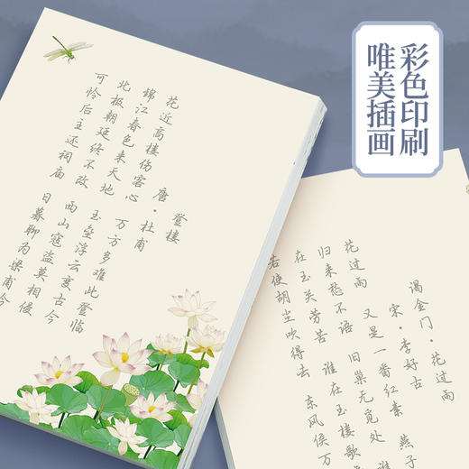 【行楷练字帖】唐诗宋词描红   行书古诗词   硬笔书法钢笔临摹字帖 商品图2