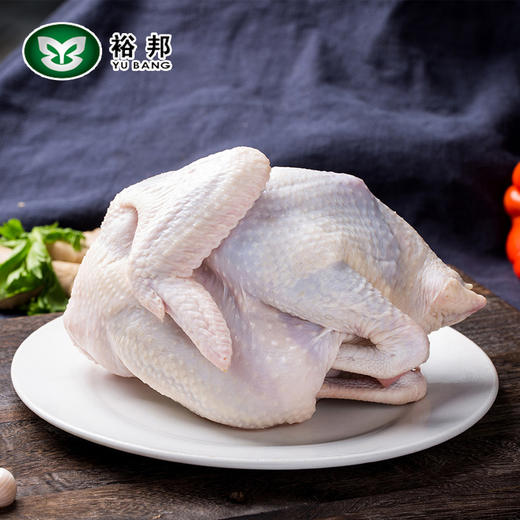 裕邦山地散养鸡老母鸡 商品图2