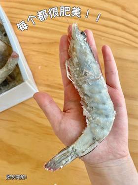 【厄瓜多尔白虾】来自于南美纯净海域 爽脆Q弹 肉质紧实鲜嫩