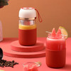 大宇海棠红便携果汁机 商品缩略图0