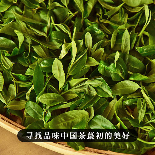 【回甘岭】2023年头春头采回甘持久久到离谱福利放松班章森林茶为主料 商品图7