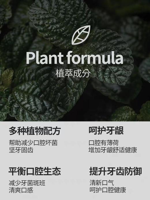 牙膏93韩国爱茉莉牙膏美白去牙渍 商品图5
