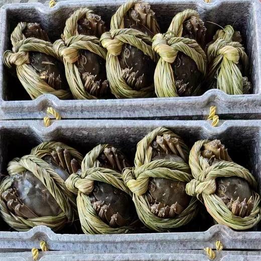 固城湖名蟹，儿时蟹味不能只是回味 商品图6