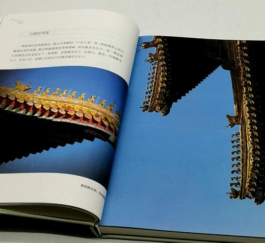 西洋镜丛书：《五脊六兽》，精装，16开，[德]爱德华.福克斯著，北京日报出版社2022年10月一版二印，165页，定价68元，售价25元。 商品图3