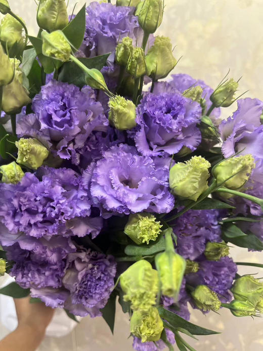 【洋桔梗】~波浪农民紫  若干枝/扎 商品图6