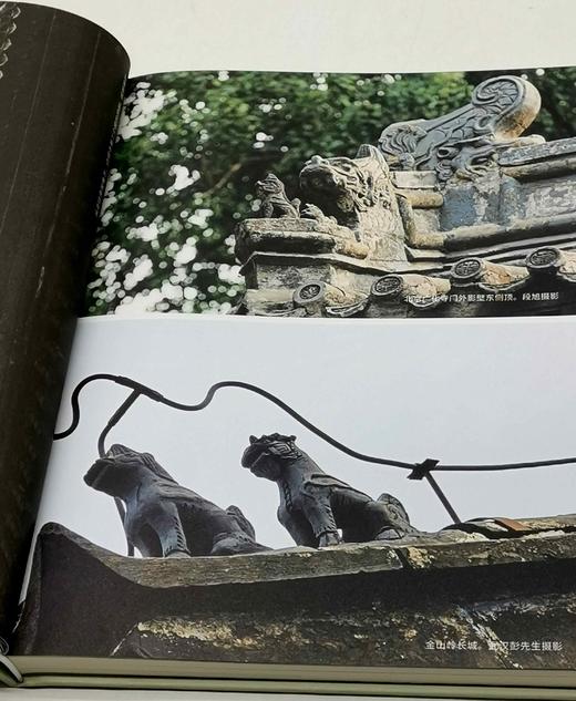 西洋镜丛书：《五脊六兽》，精装，16开，[德]爱德华.福克斯著，北京日报出版社2022年10月一版二印，165页，定价68元，售价25元。 商品图6