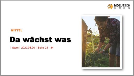 Da wächst was丨M 商品图0