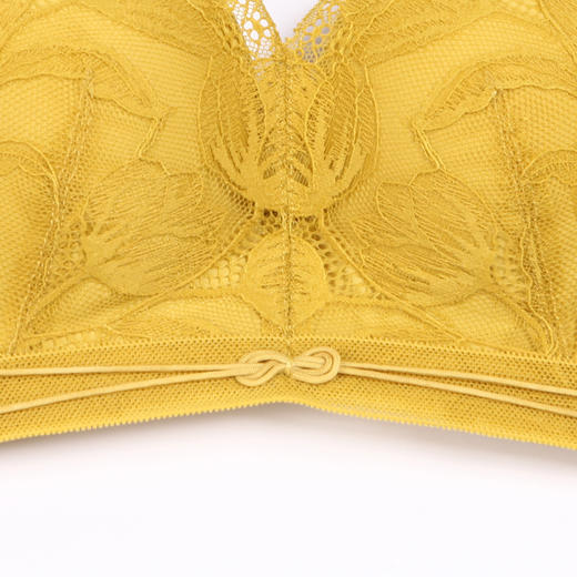 都市丽人聚拢升杯B杯适穿舒适更聚拢蕾丝内衣中厚款3/4杯常规文胸树脂胶圈四排扣YB31A6 商品图4
