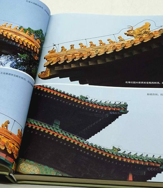 西洋镜丛书：《五脊六兽》，精装，16开，[德]爱德华.福克斯著，北京日报出版社2022年10月一版二印，165页，定价68元，售价25元。 商品图4