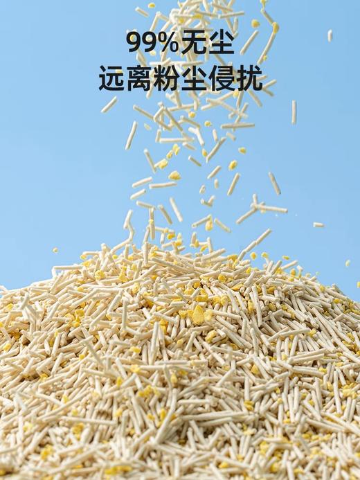 无尘猫猫砂 商品图6