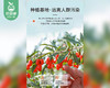 宁夏枸杞（大颗粒）/1包（约250g）生产日期：12月20日左右 商品缩略图2