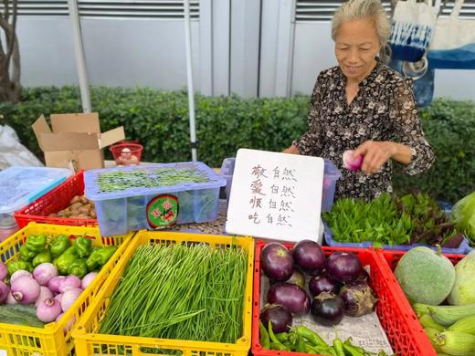 预售｜天福园蔬菜，叶菜&果菜&野菜等，限北京！ 商品图0