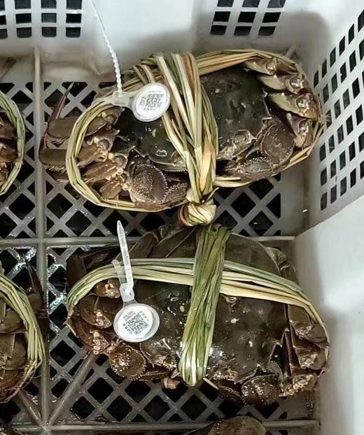 中秋超值豪华礼享价，款款珍味食材， 更多组合你说了算 商品图4