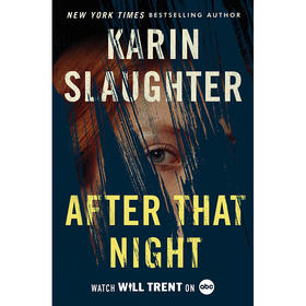 那晚之后 卡琳·斯劳特 Karin Slaughter 英文原版 After That Night 犯罪惊悚小说 