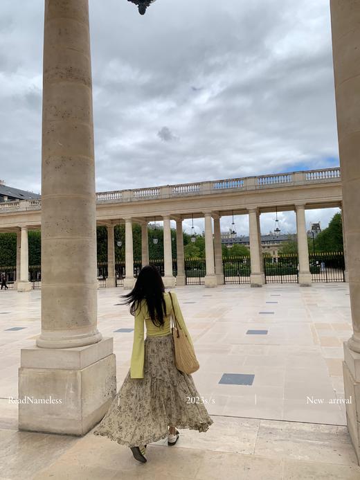 Read Nameless /芥末黄两件套上衣+vintage黄昏裙 商品图7