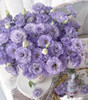【洋桔梗】~波浪农民紫  若干枝/扎 商品缩略图2