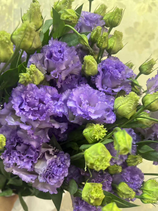【洋桔梗】~波浪农民紫  若干枝/扎 商品图7
