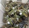 固城湖名蟹，儿时蟹味不能只是回味 商品缩略图2