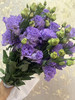 【洋桔梗】~波浪农民紫  若干枝/扎 商品缩略图8