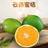 【秒杀】青皮蜜桔（无籽）早期口感带酸5斤大果（1斤约4个） 商品缩略图0