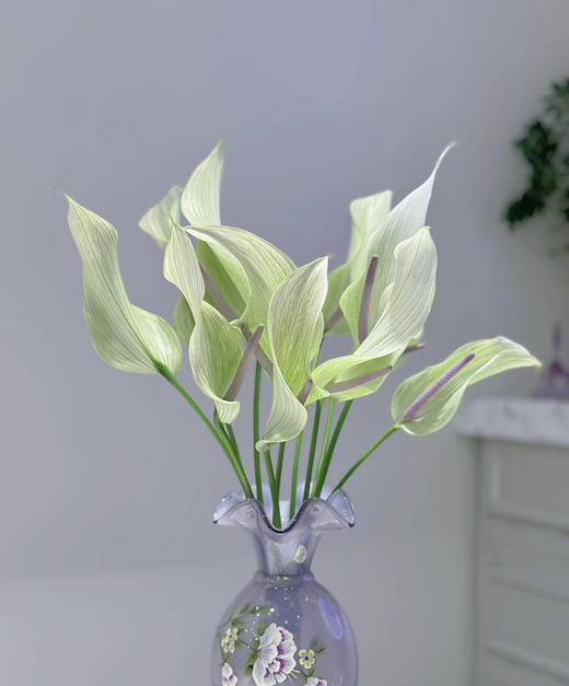 【绿光彩掌】鲁米娜 绿白掌 商品图0