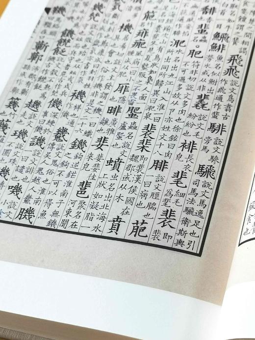 重磅推荐:《集韵》（汲古阁抄本丛刊），宋丁度 纂，一函二册，16开，布面精装，共836页，据天一阁藏汲古阁影宋抄本《集韵》彩色影印本。浙江古籍出版社2023年8月一版一印。定价880，售价572元。 商品图11