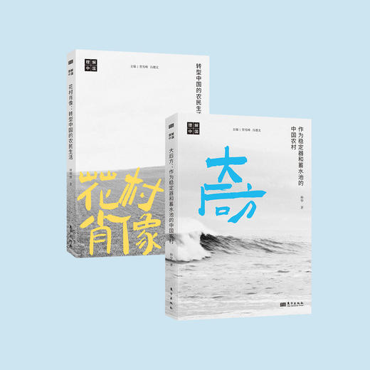 《花村肖像:转型中国的农民生活》 商品图1