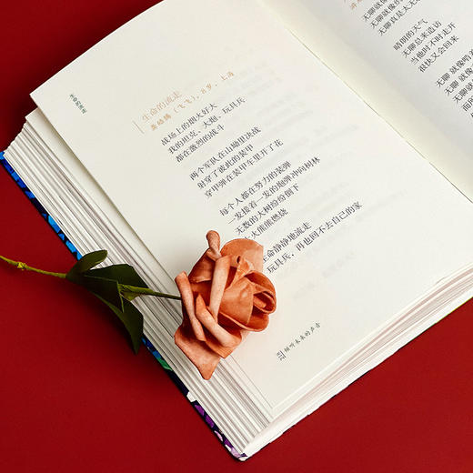 【签名版】倾听未来的声音 艾琳主编 青少年现代诗歌 商品图11