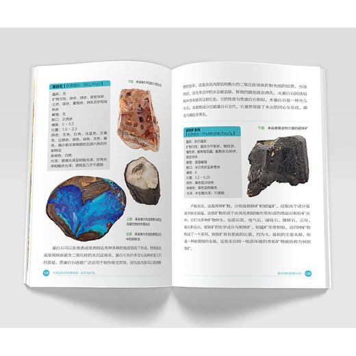 大英自然历史博物馆 : 岩石与矿物-分销 商品图7